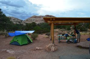 Our Campsite in Willow Flat Campground